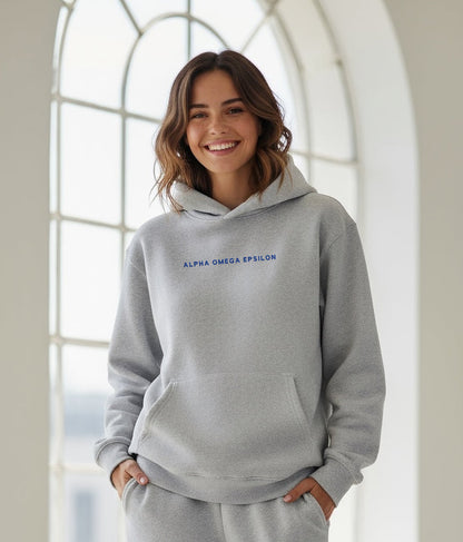 Person wearing Alpha Omega Epsilon gray hoodie indoors by a window