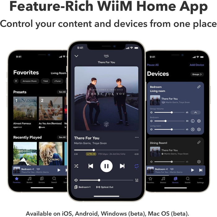 NETWORK STREAMER - WIIM - PRO