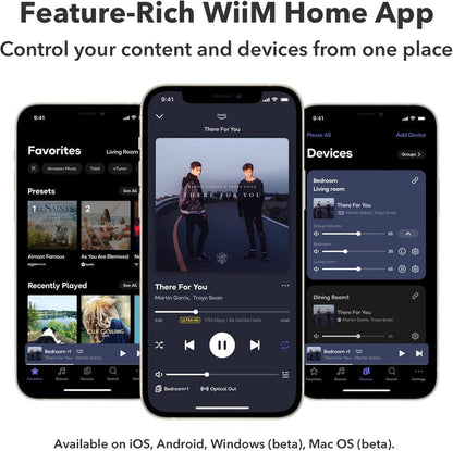 NETWORK STREAMER - WIIM - PRO