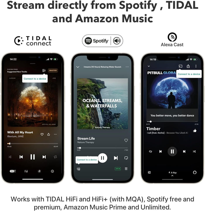 NETWORK STREAMER - WIIM - PRO