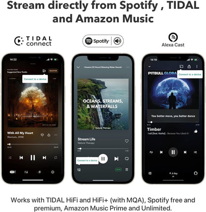 NETWORK STREAMER - WIIM - PRO