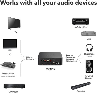 NETWORK STREAMER - WIIM - PRO
